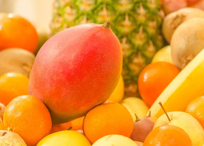 酒店 博格齐亚德酒店